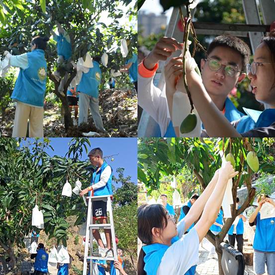 QQ图片20220531131241