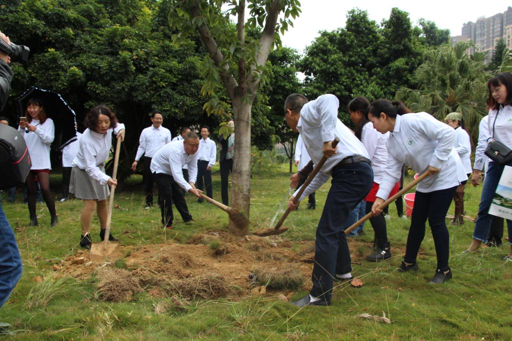94级社区医学校友返校种植友谊之树